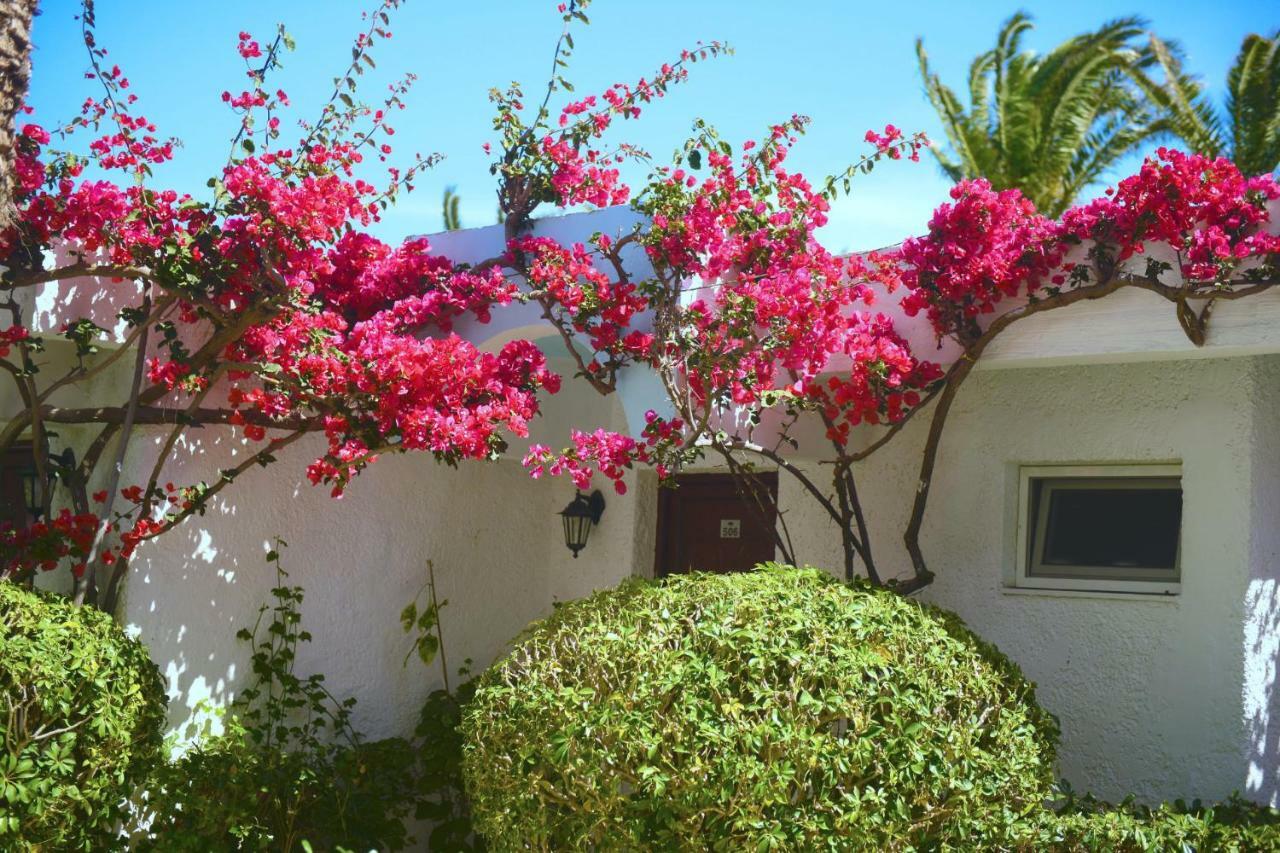 Bungalow con Vista Mare